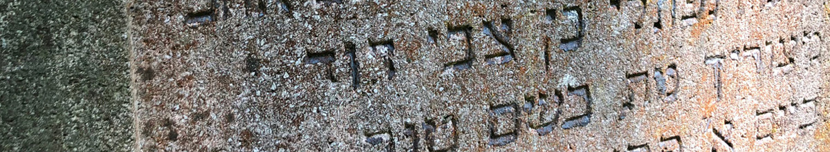 Judaica inStein